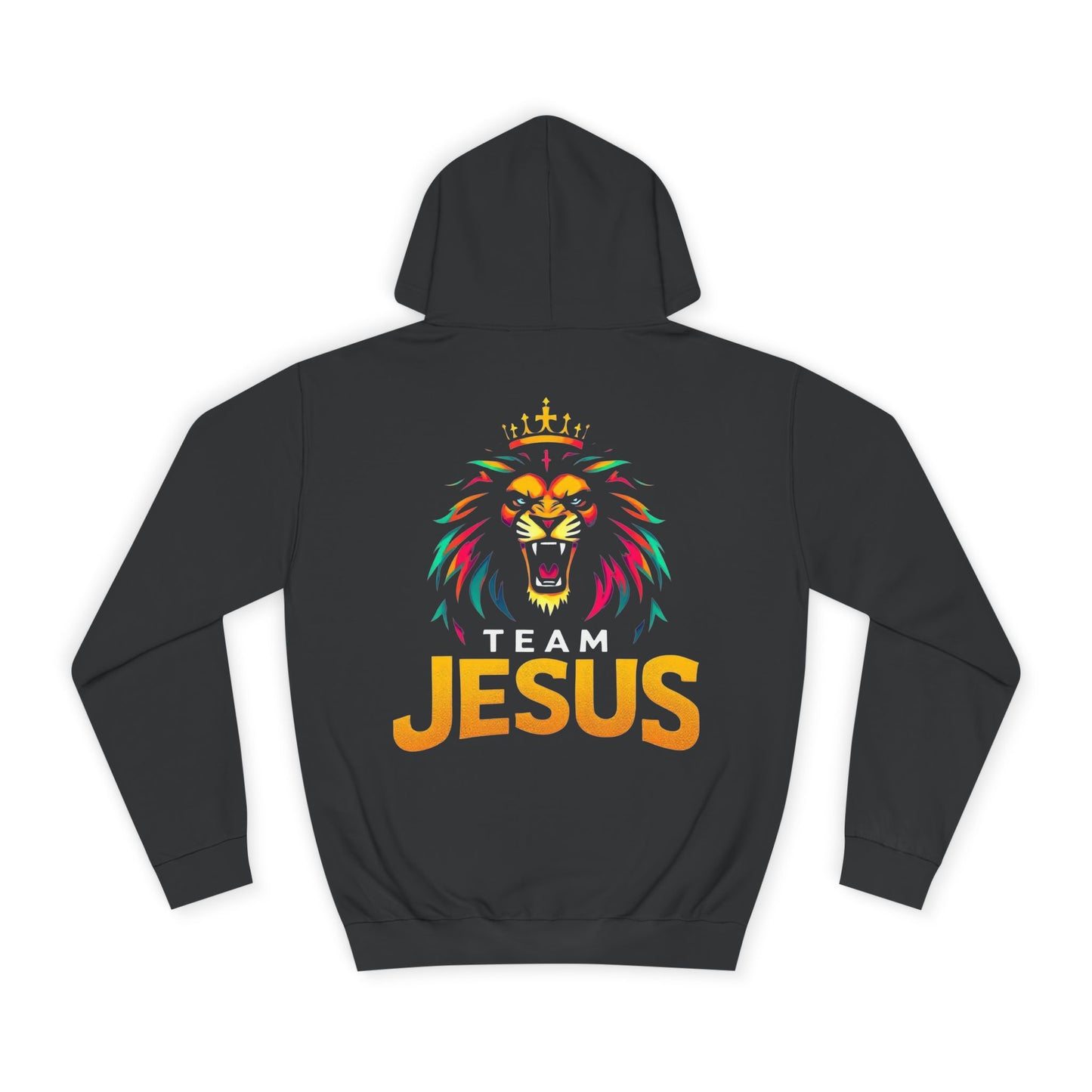 Lion Jesus Hoodie